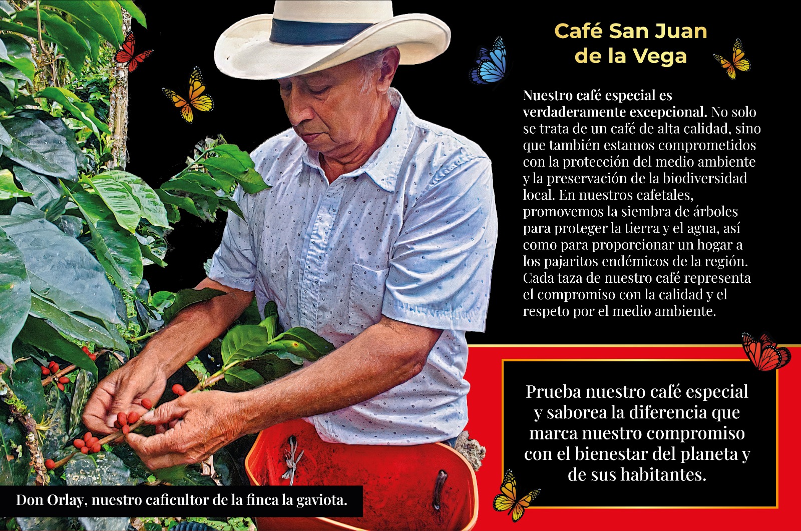 Don Orlay caficultor de café de especialidad en La Vega Cundinamarca